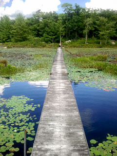 Koinonia Bridge