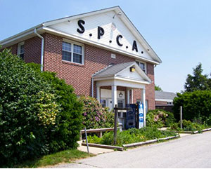 SPCA Headquarters