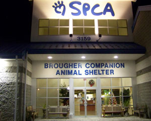 Brougher Shelter At Night