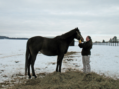 Horse Saved 10