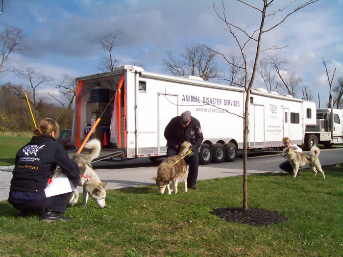 HSUS brings 100 Sled Dogs to York