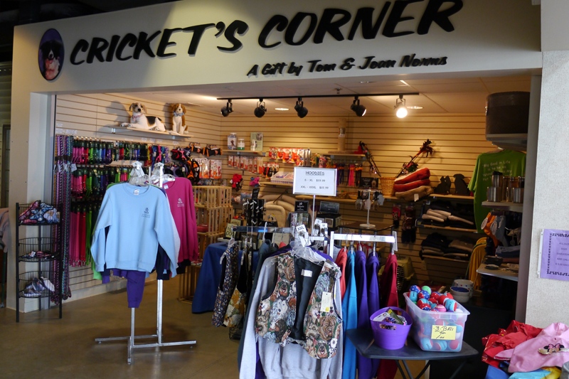 Cricket's Corner