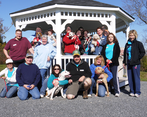 Volunteers November 2010